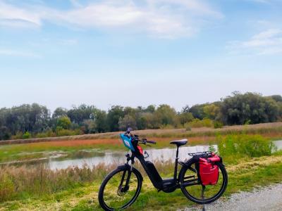 Bike in front of the Danube