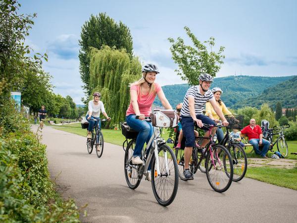 Cyclists at the Neckar near Heidelberg