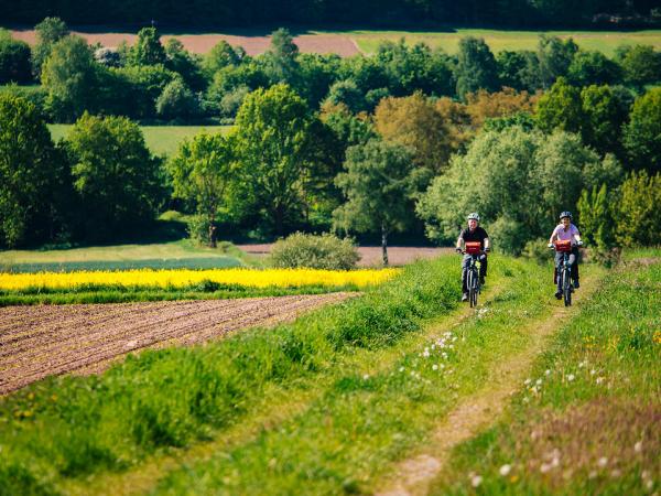 Cycling in Weser Landscape