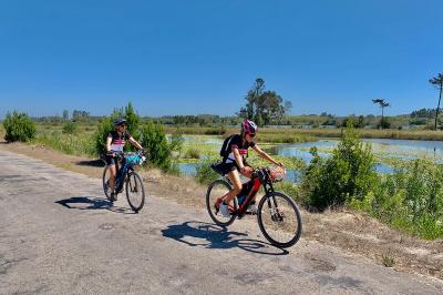 Cyclists in the wetlands