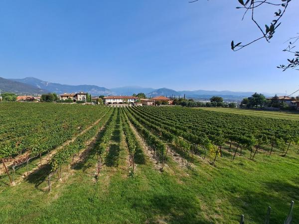 Franciacorta wine region