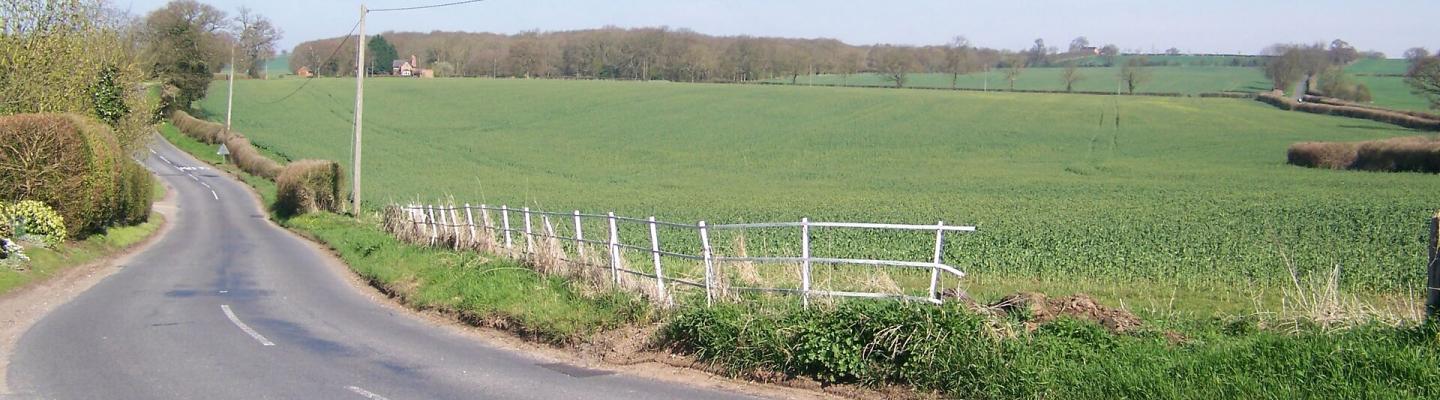 Landscape in the Cotswolds