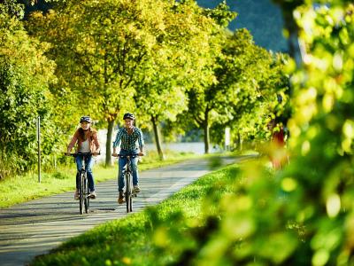 Cycling on the Moselle cycle path