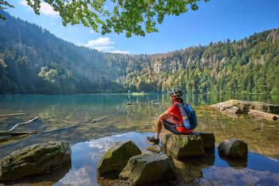 Cyclist at lake Feldsee near Titisee-Neustadt