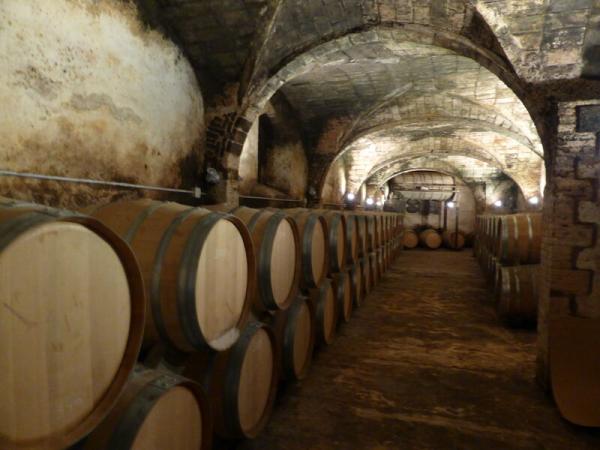wine cellar Campmany