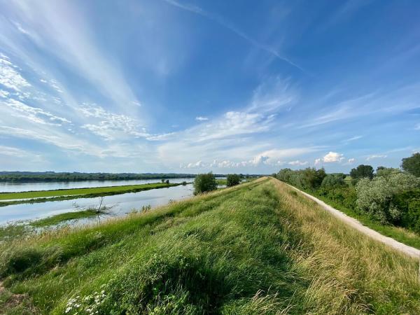 Vistula landscape