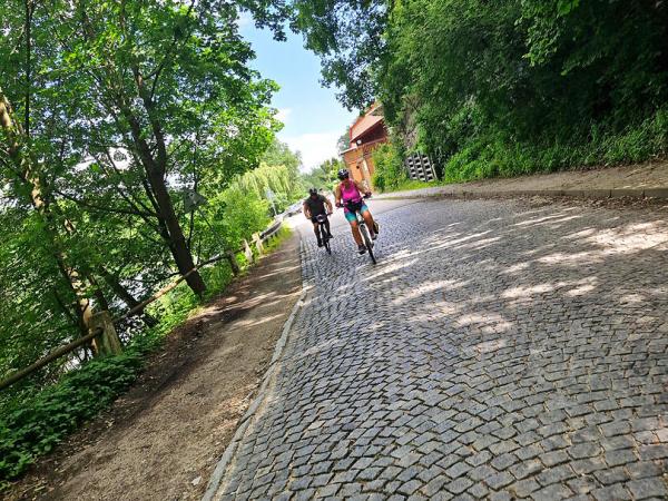 Cyclists on the Iron Curtain Trail