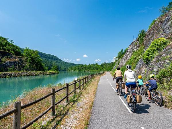 Upper Rhone near Massignieu-de-Rives