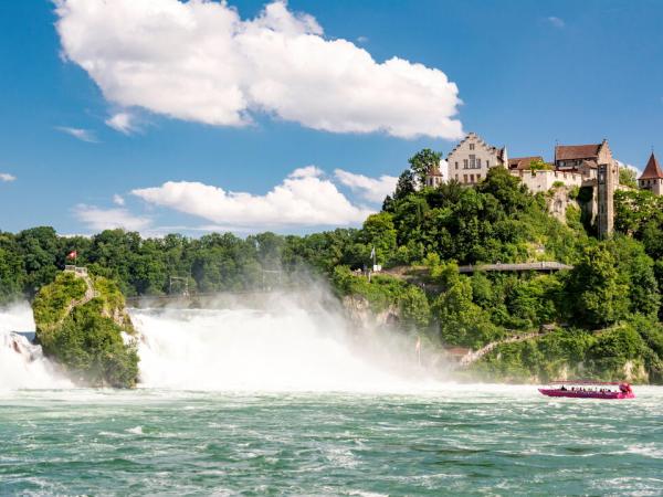 Rhine Waterfalls