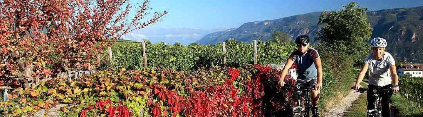 Cyclists in the vineyards | © R+R RWR