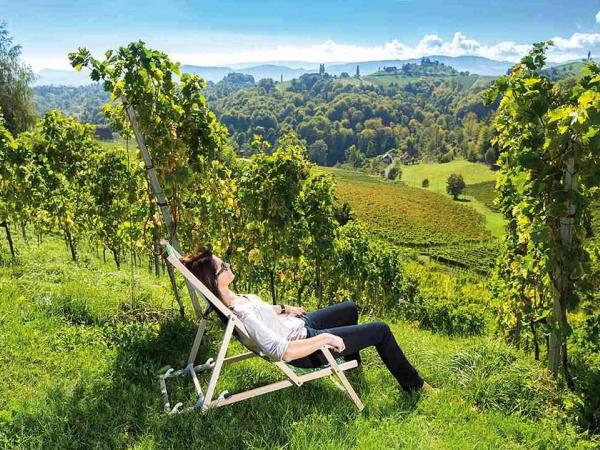 Relaxing in the vineyards