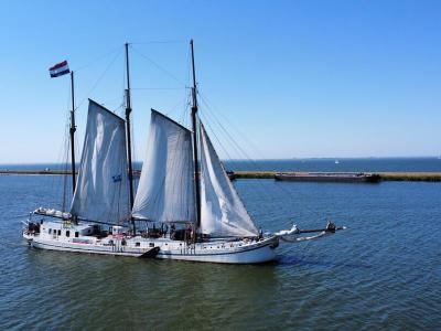 Elizabeth on the way