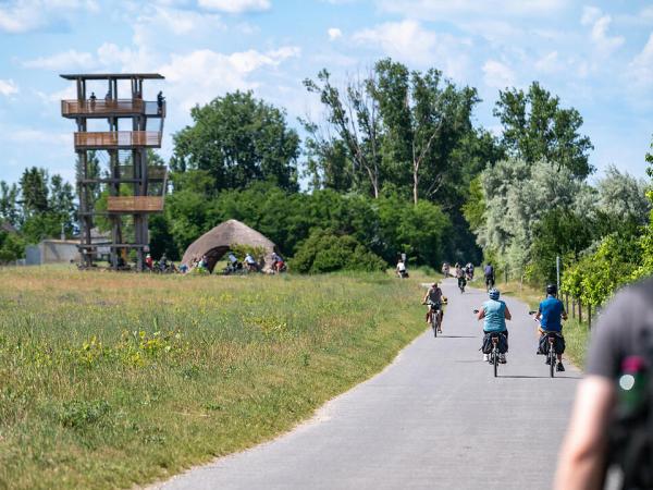 Radfahrer am Neusiedlersee Radweg mit Aussichtswarte in der H�lle