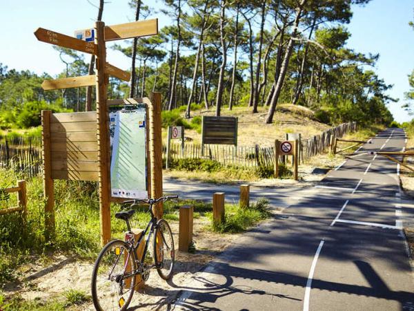 Cycle path in Landes