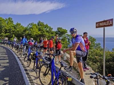 Rental bikes in a row