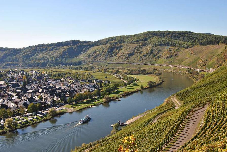 Lady Zell (Mosel)