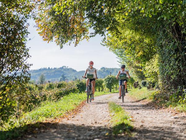 Cycling in the Prosecco region