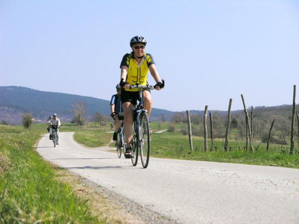 Cyclists on their way to Brda