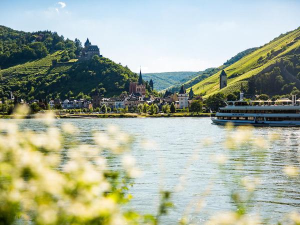 Rhine cycle path near Bacharach