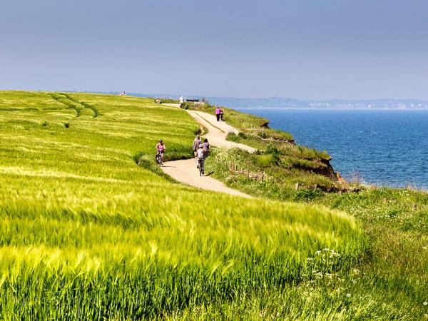 Cycle Path near Travem�nde